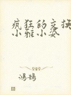 疯狂的交换小静小雅小姿