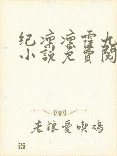 纪凛凛霍九霖的小说免费阅读在线