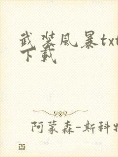 武装风暴txt下载
