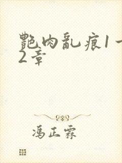 艳肉乱痕1一12章封面