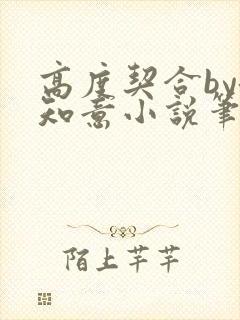 高度契合by洛知意小说笔趣阁无弹窗封面