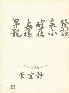 早上醒来发现巨龙还在小说封面
