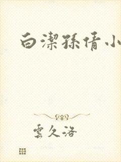 白洁孙倩小说封面