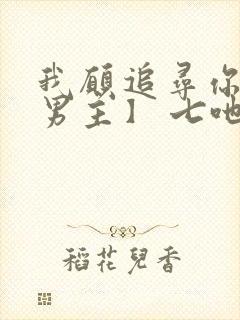 我愿追寻你【双男主】 七吔封面