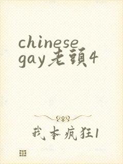 chinesegay老头4