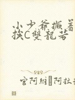 小少爷撅着屁股挨C双龙若封面