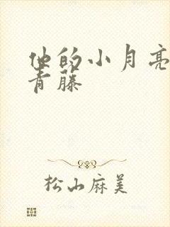 他的小月亮by青藤