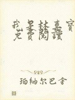 我是林喜宝小说免费阅读封面