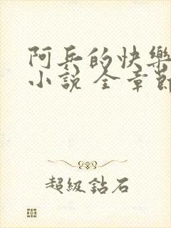 阿兵的快乐生活小说 全章节阅读免费