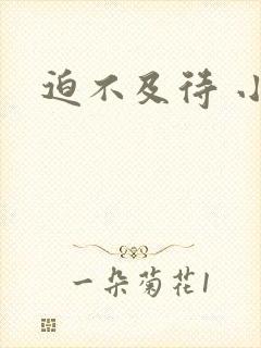 迫不及待 小穴