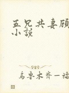 五兄共妻顾心儿小说