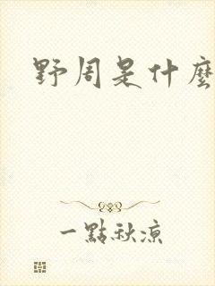野周是什么意思