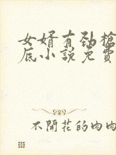 女婿有劲枪枪到底小说免费看封面