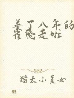 养了八年的金丝雀飞走啦