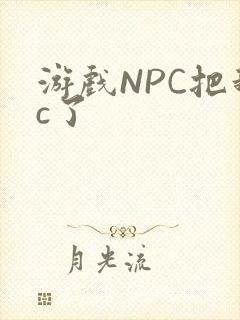 游戏NPC把我c了