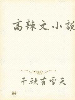 高辣文小说
