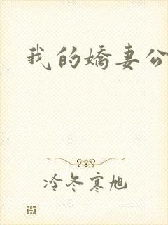 我的娇妻公务员