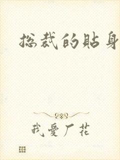 总裁的贴身女佣