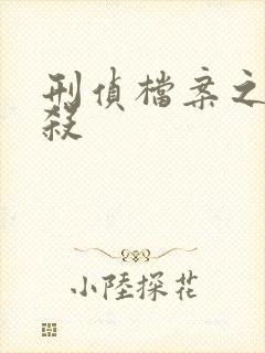 刑侦档案之血谜杀封面