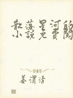 散落星河的记忆小说免费阅读全文封面