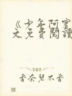 《少年阿宾》全文免费阅读