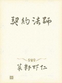 契约法师封面