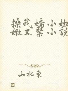 搡我娇小嫩苞又嫩又紧小说封面