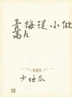 青梅从小做到大高h封面