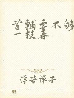 首辅要不够po一枝春
