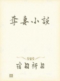 夺妻小说