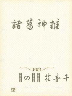 诸葛神推封面