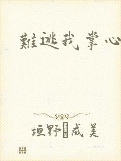 难逃我掌心