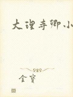 大理寺卿小说