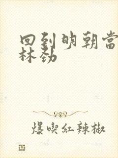 回到明朝当王爷林劲