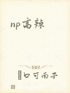 np高辣