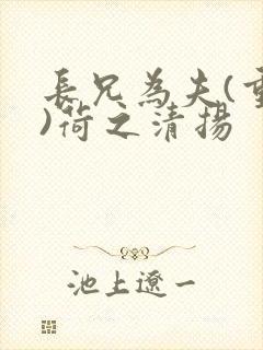 长兄为夫(重生)荷之清扬