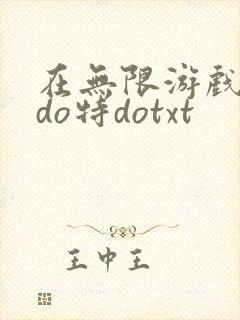 在无限游戏大里do特dotxt封面