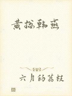 黄总韩燕封面