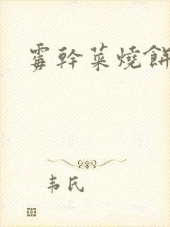 霉干菜烧饼
