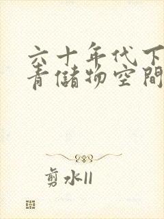 六十年代下乡知青储物空间