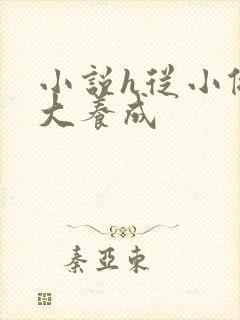 小说h从小做到大养成