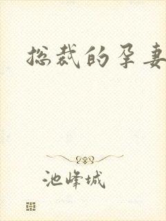总裁的孕妻