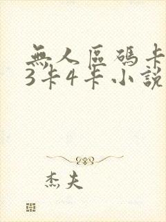 无人区码卡二卡3卡4卡小说