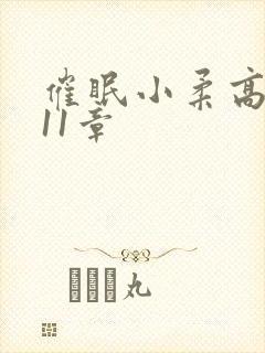 催眠小柔高达第11章