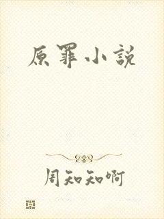 原罪小说