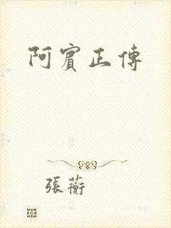 阿宾正传