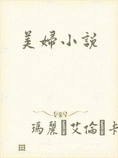 美妇小说