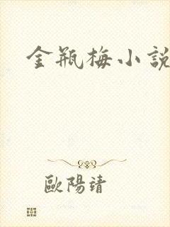 金瓶梅小说下载封面