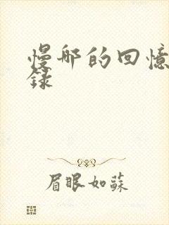 慢哪的回忆录目录封面