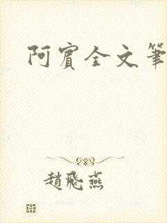 阿宾全文笔趣阁封面